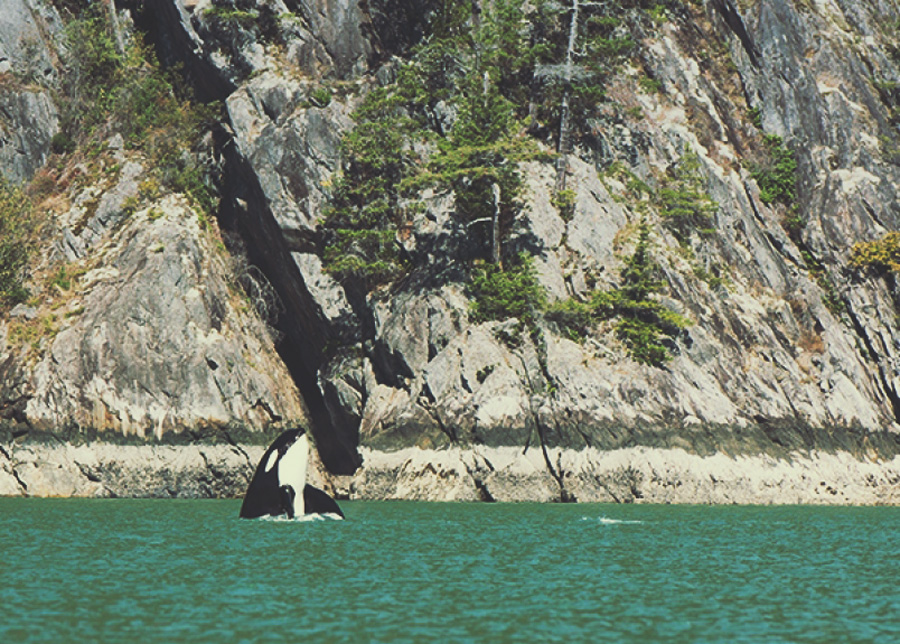 18SQUAMISH – HARDWIRED FOR ADVENTURE