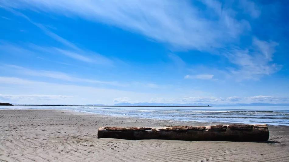 Between Sand & Water: Butoh-ing on the Beach with Kokoro Dance