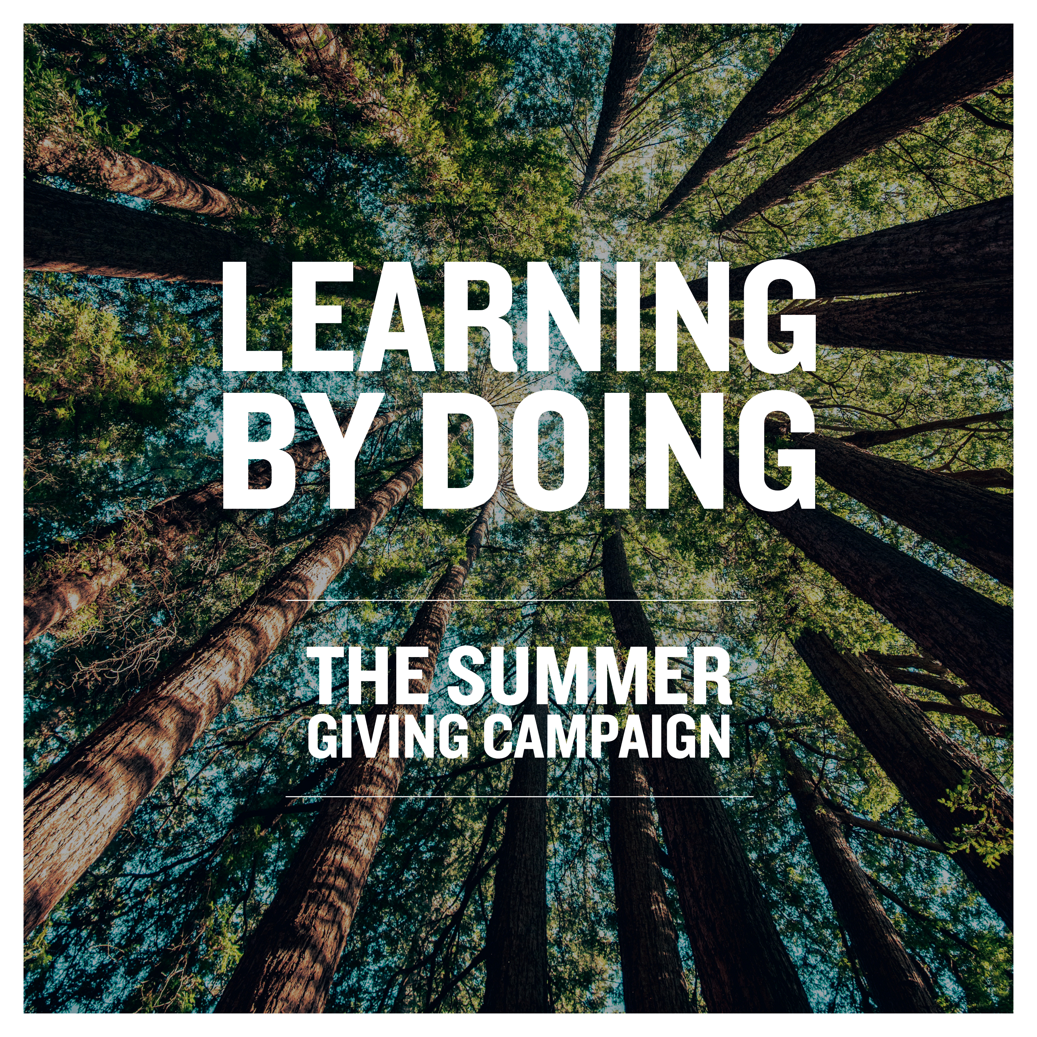 Learning By Doing: Quest Summer Giving Campaign