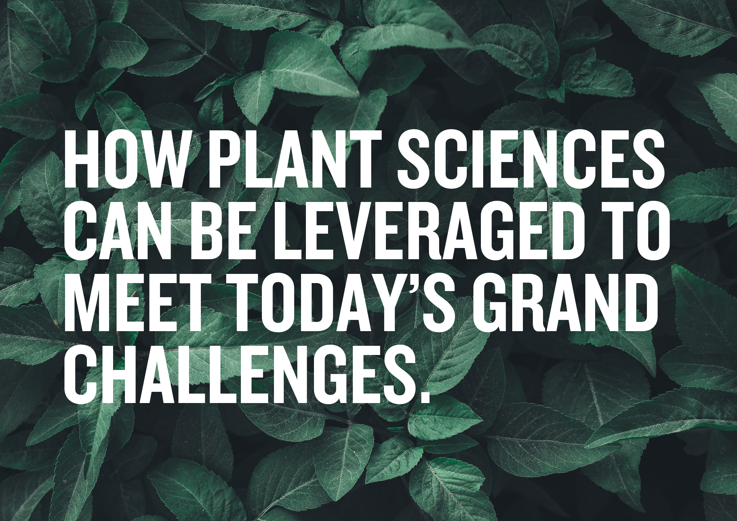  How plant sciences can be leveraged to meet today’s Grand Challenges.