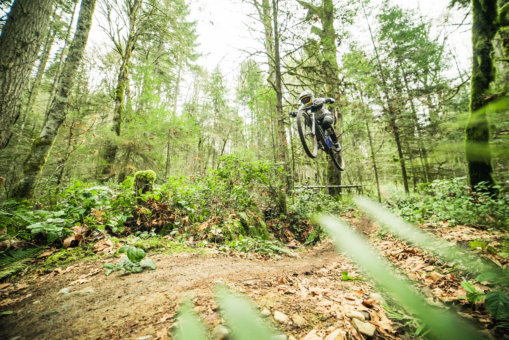 Ainsley Haggart, LEAP